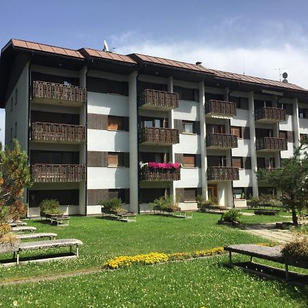 塔尔维西奥Rododendro - Ciclovia Alpe Adria Apt With Terrace公寓 外观 照片